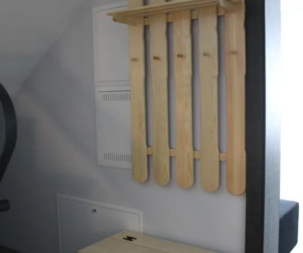 Wisienka 木屋 扎科帕内