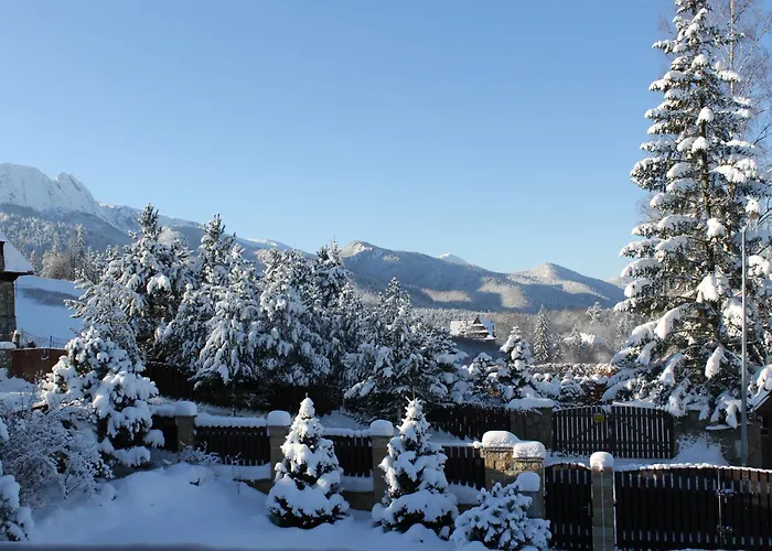 Wisienka 木屋 扎科帕内